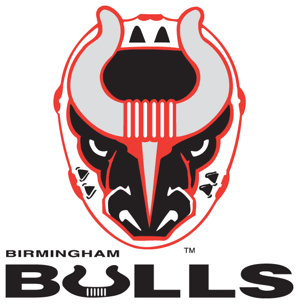 Birmingham Bulls 2017-Pres Primary Logo iron on transfers for T-shirts